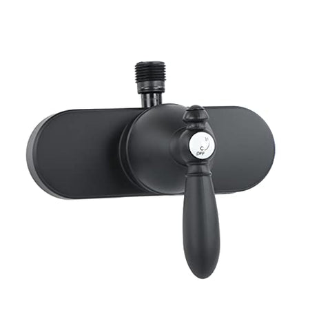 EMPIRE FAUCE U-YSL53BMTLVR-E ts  4 Single Lever Shower Valve with Decorative Lever Handle & Vacu... product image