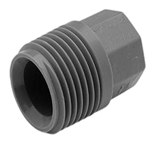 LaSalle Bristol 79SCTP4 3/4" Male Pipe Thread Test Plug