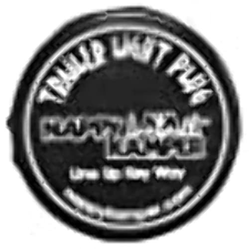 AP PRODUCTS 008100 NAPPY KAMPER TRAILER LIGH