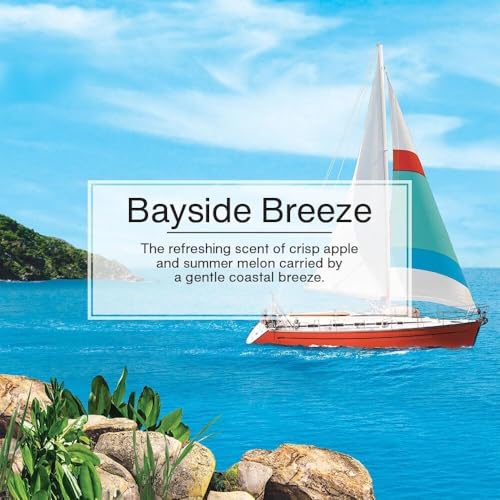 LITTLE TREES CAR FRESHNER Bayside Breeze Little Trees Air Freshener