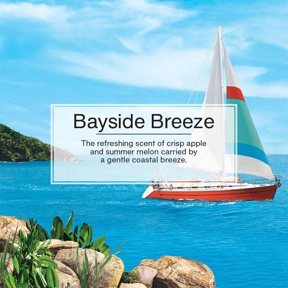 LITTLE TREES CAR FRESHNER Bayside Breeze Little Trees Air Freshener