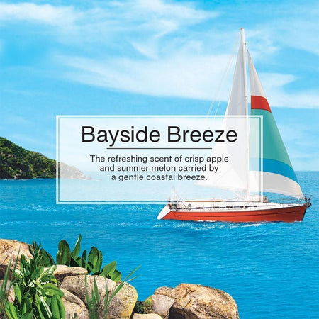 LITTLE TREES CAR FRESHNER Bayside Breeze Little Trees Air Freshener