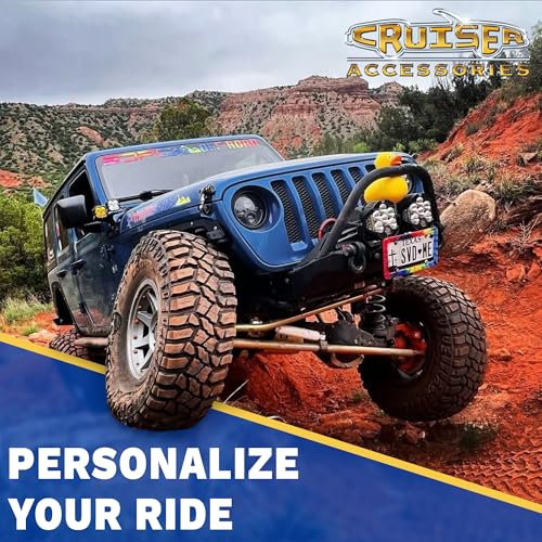 CRUISER 22230 Accessories Barbed Wire II License Plate Frame, Chrome Engine & Performance