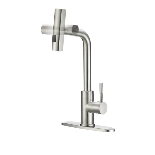 Dura Faucet Dura Faucet (DF-MK511X-SN) Rainfall RV Kitchen Faucet – Satin Nickel, Dual-Mode Rotating Spray