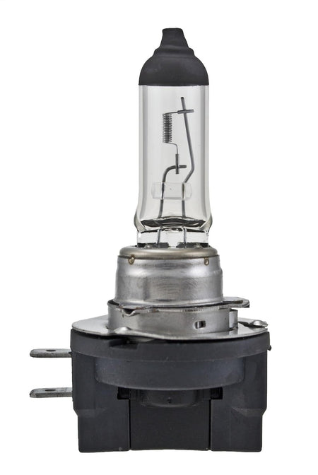 HELLA H11B Bulb 12V 55W Pgjy19-2 Truck & Exterior