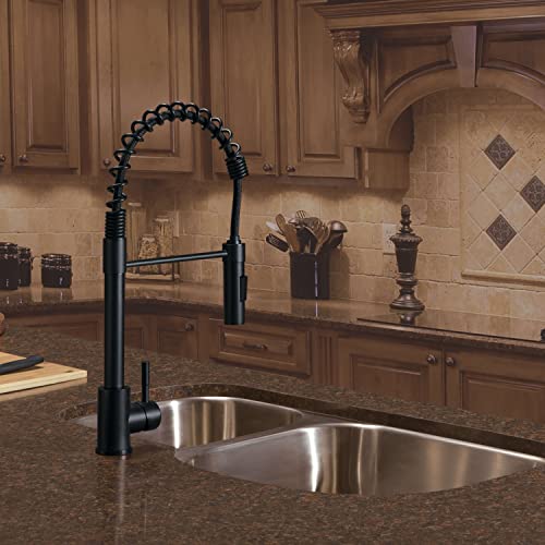 LIPPERT COMP 2021090598 COILED PULL-DOWN FAUCET-BLACK MATTE