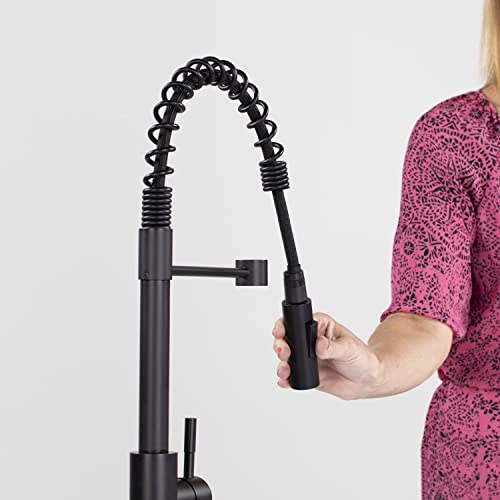 LIPPERT COMP 2021090598 COILED PULL-DOWN FAUCET-BLACK MATTE