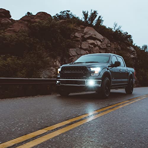 RIGID IND 504815 D-SERIES PRO SAE FOG WHITE PAIR Truck & Exterior