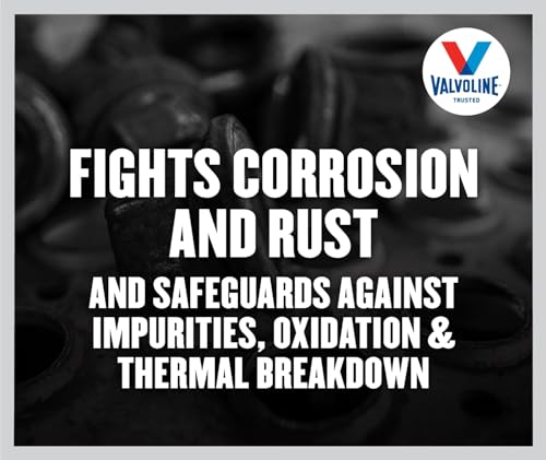 VALVOLINE VV825 Daily Protection 85W-140 Gear Oil 1 Quart Engine & Performance