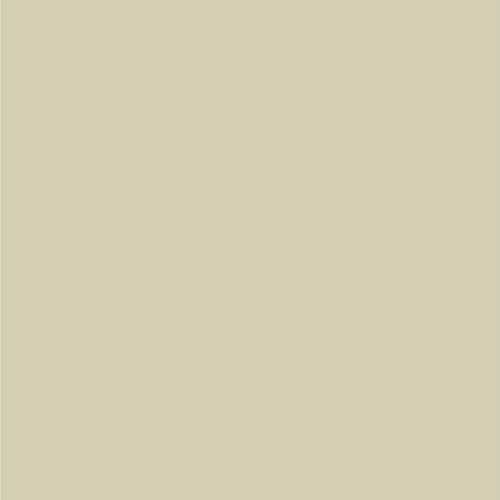 Dupli-Color Dupli-Color Perfect Match Premium Automotive Paint, Champagne Pearl, 8 oz