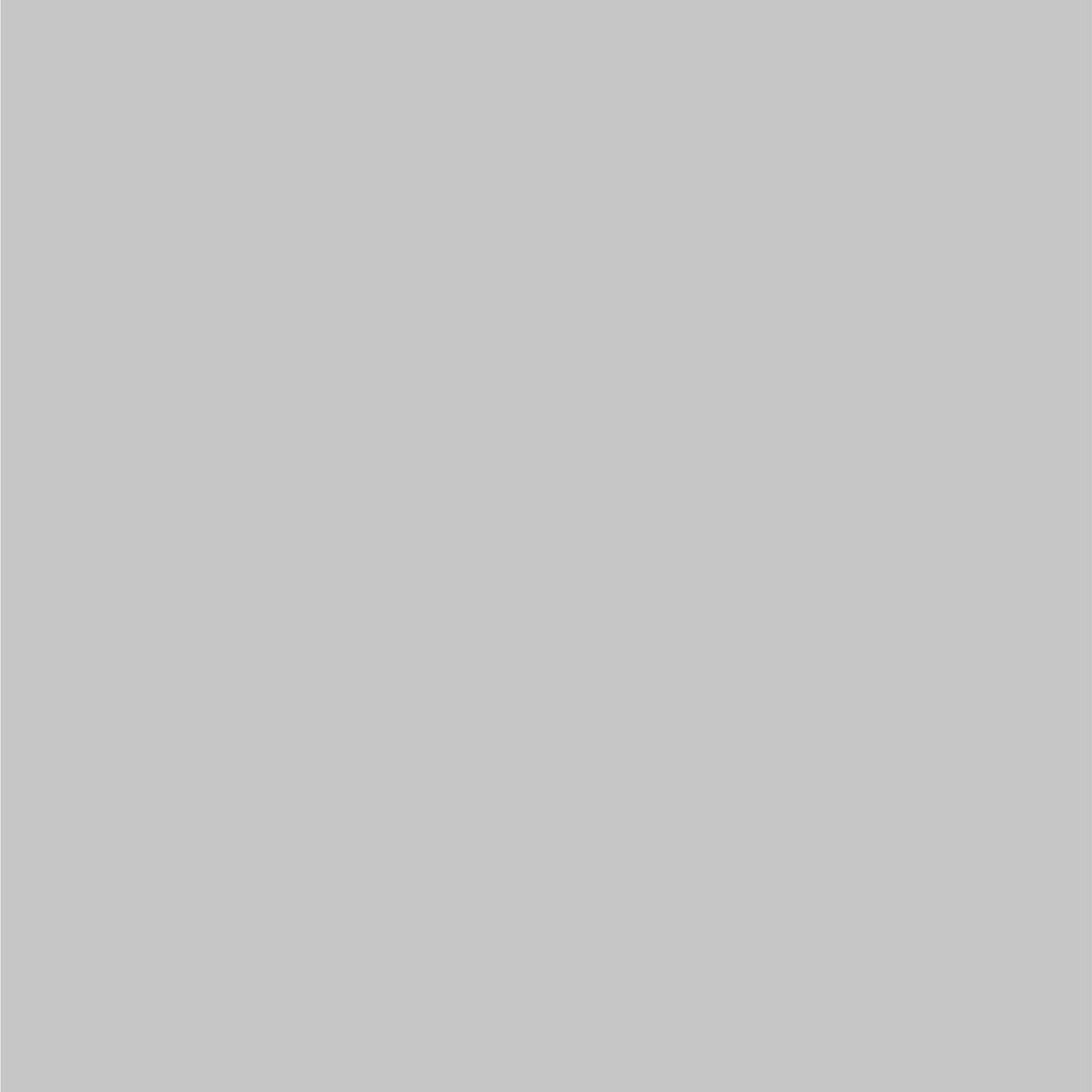 Dupli-Color Dupli-Color Perfect Match Premium Automotive Paint, Silver Charcoal (M), 8 oz