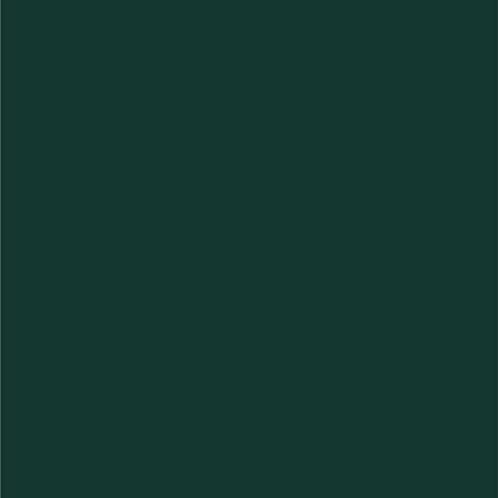 Dupli-Color Dupli-Color Perfect Match Premium Automotive Paint, Amazon Green (M), 8 oz