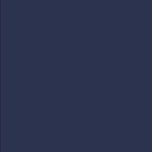 Dupli-Color Dupli-Color Perfect Match Premium Automotive Paint, Medium Wedgewood (M), 8 oz