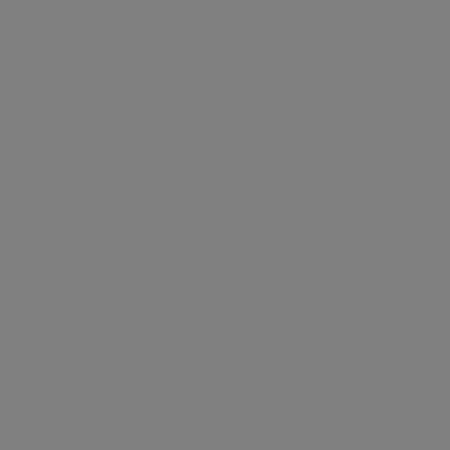 Dupli-Color 24BTY Engine
